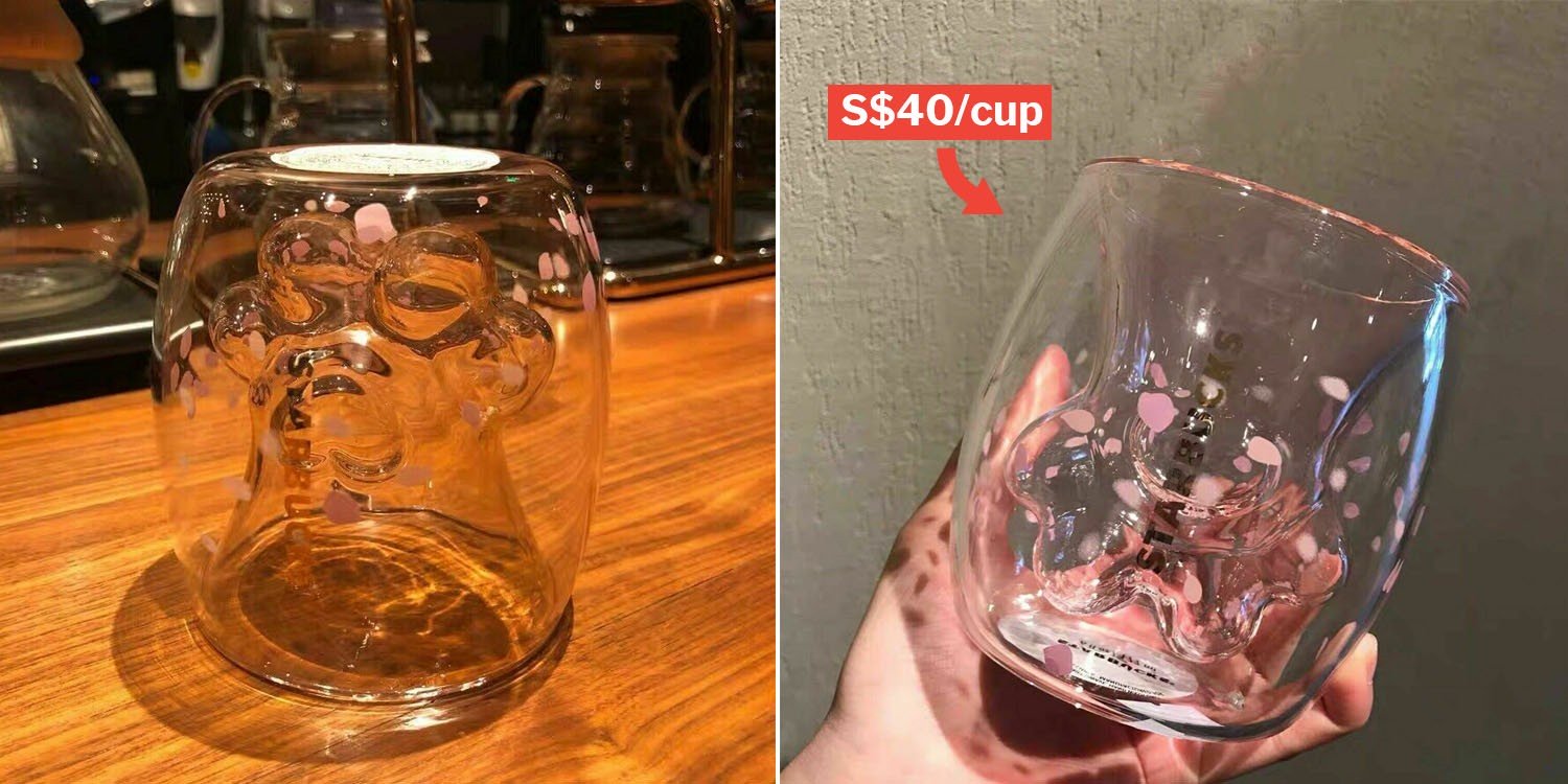 starbucks cat paw glass